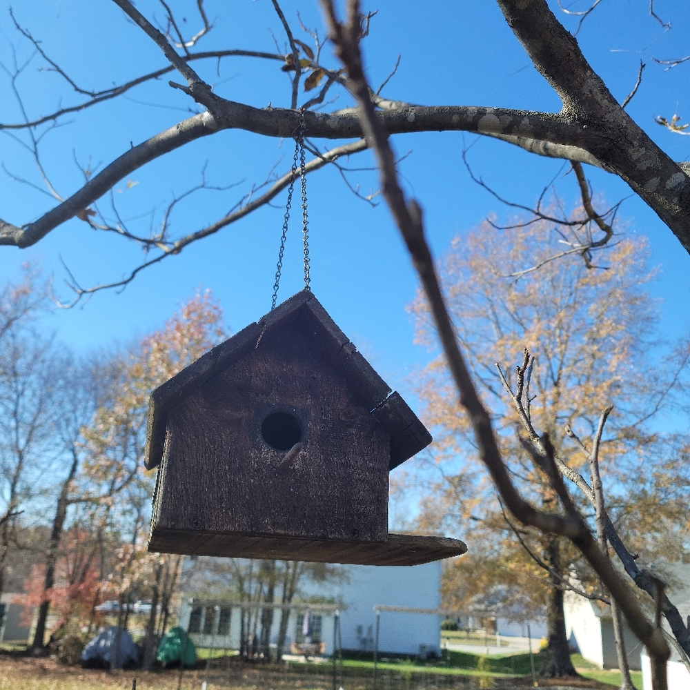 Meet your Posher, Gabby